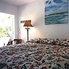 Hotel Alexander Palms Court à Key West Extérieur photo