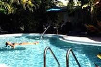 Hotel Alexander Palms Court à Key West Extérieur photo